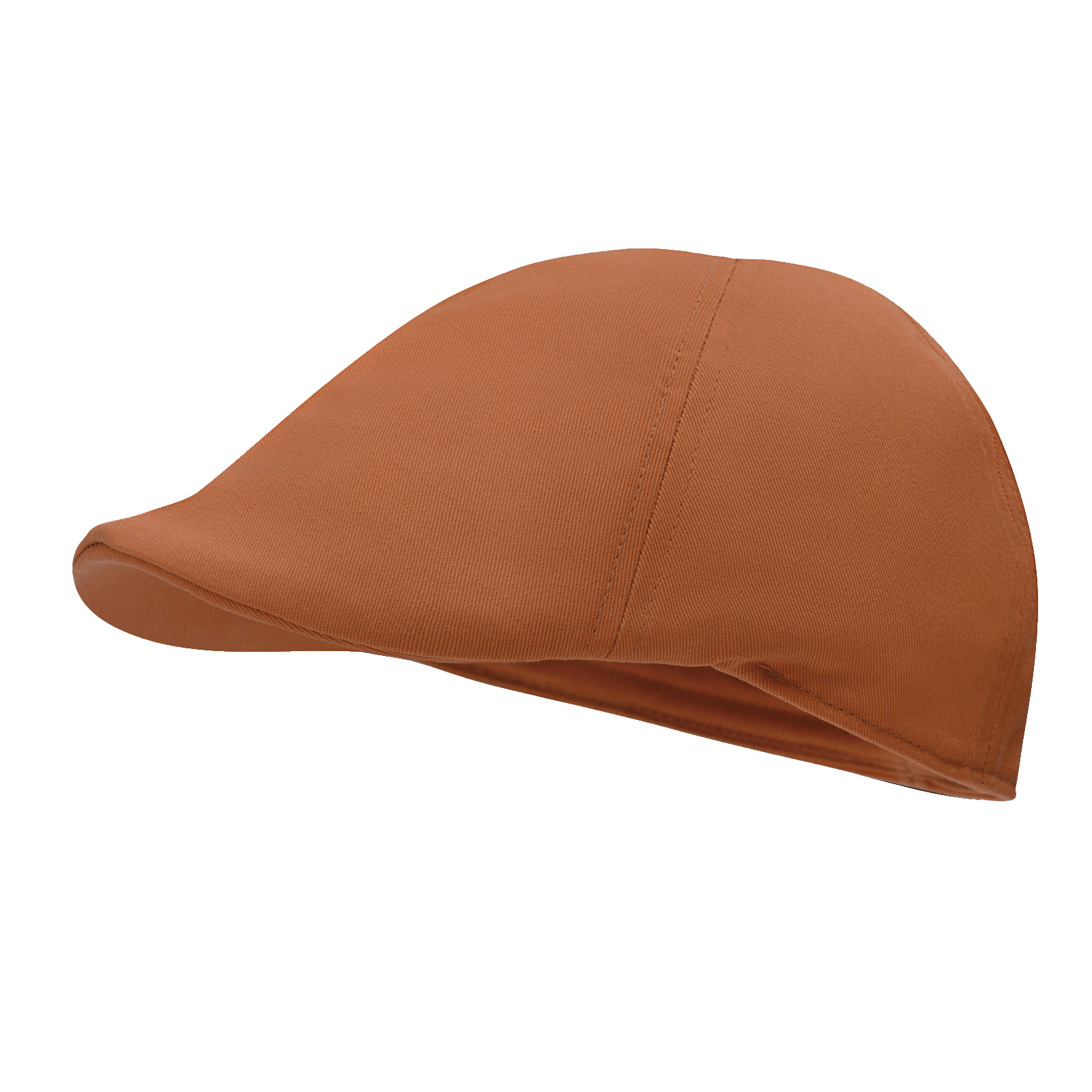 STARANCE Men's Classic Cotton  - Newsboy Cap Ivy recensie en prijs